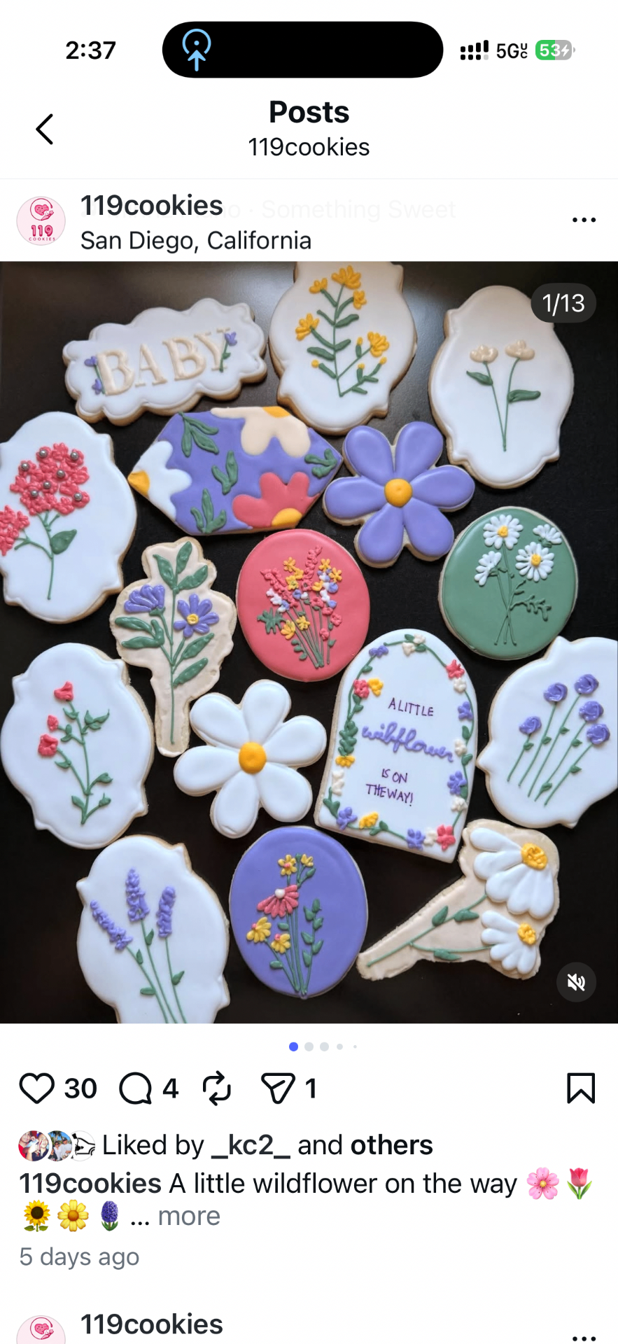 Wildflower baby shower cookies — 'A little wildflower is on the way'
